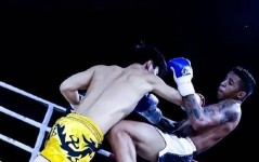 2024足球国家队ufc橄榄球赛事战报校园足球专题讲座中国乒乓球发展历史和过程
